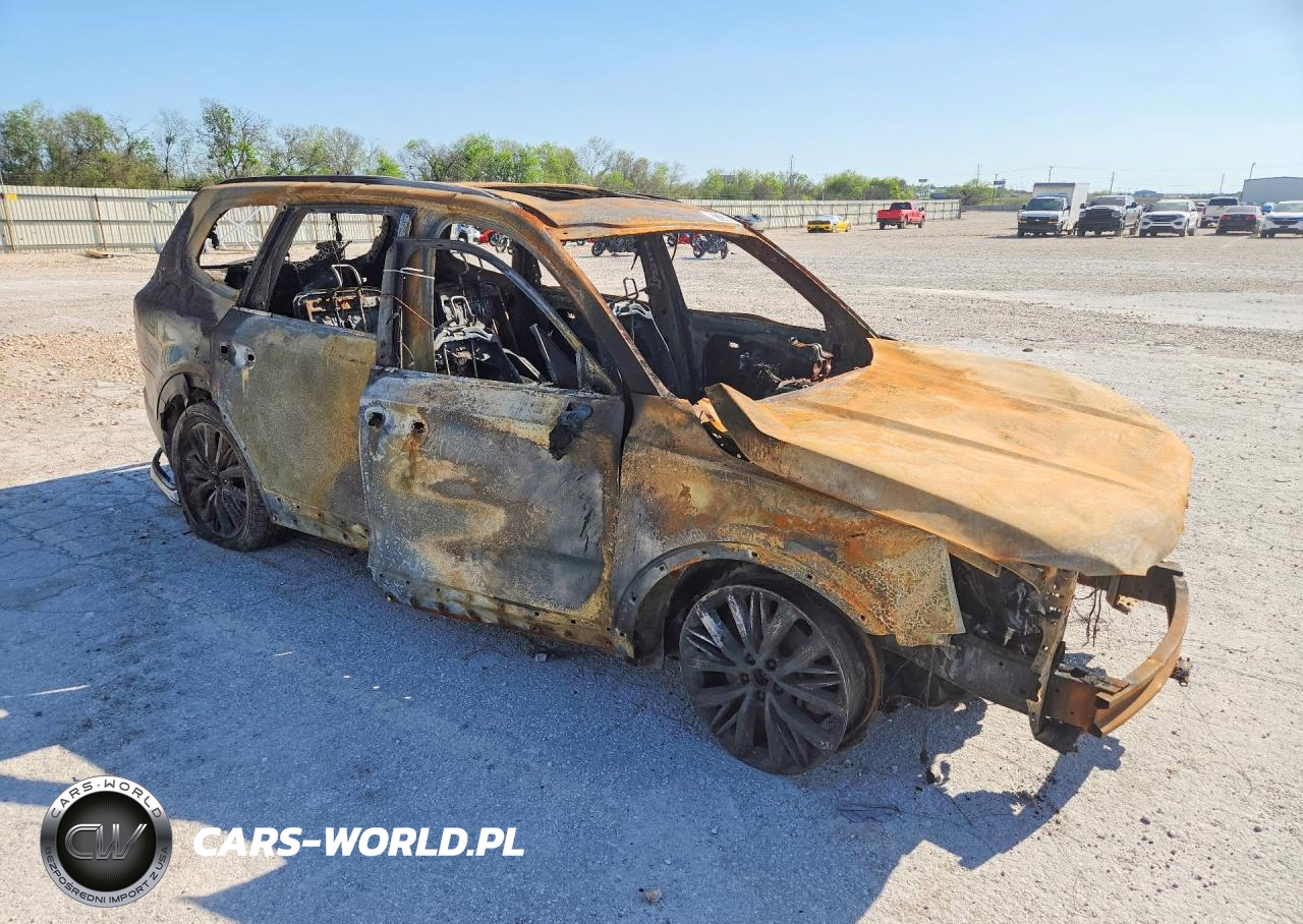 2020 Kia Telluride Sx VIN:5XYP54HC3LG041999 - 4