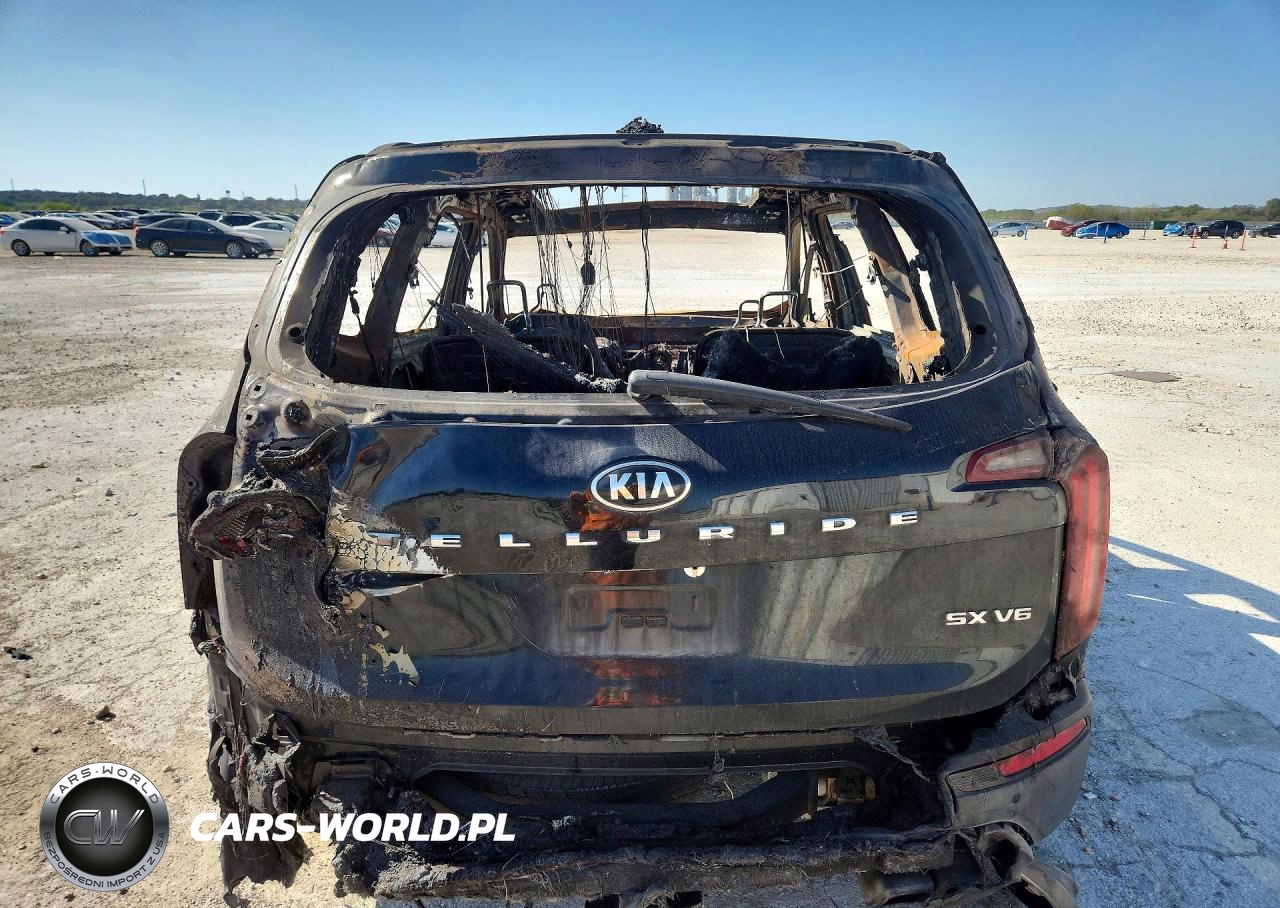 2020 Kia Telluride Sx VIN:5XYP54HC3LG041999 - 6