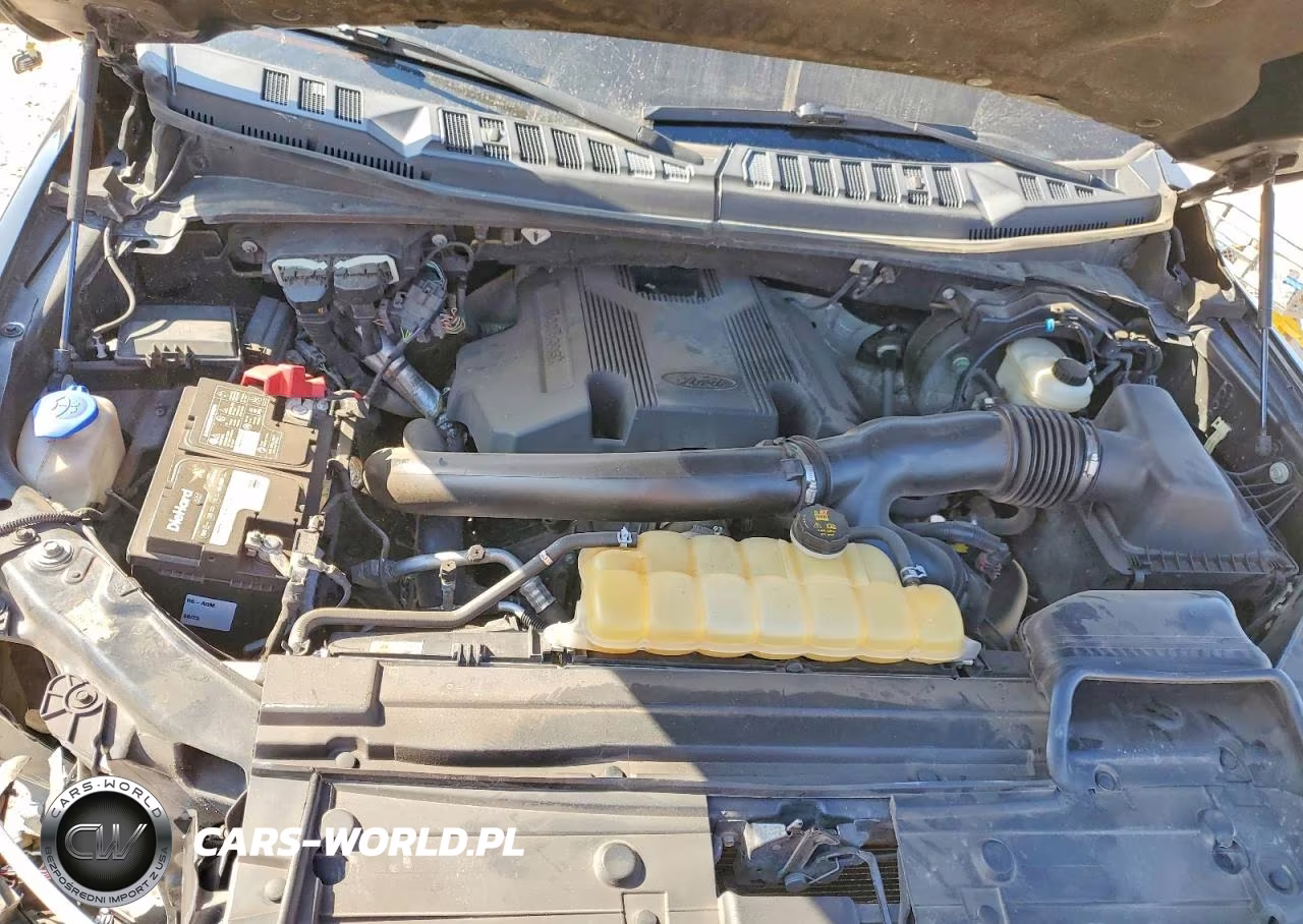 2019 Ford F150 Supercrew VIN:1FTEW1EG2KFA45425 - 11