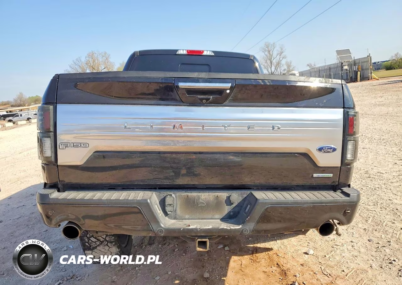 2019 Ford F150 Supercrew VIN:1FTEW1EG2KFA45425 - 6