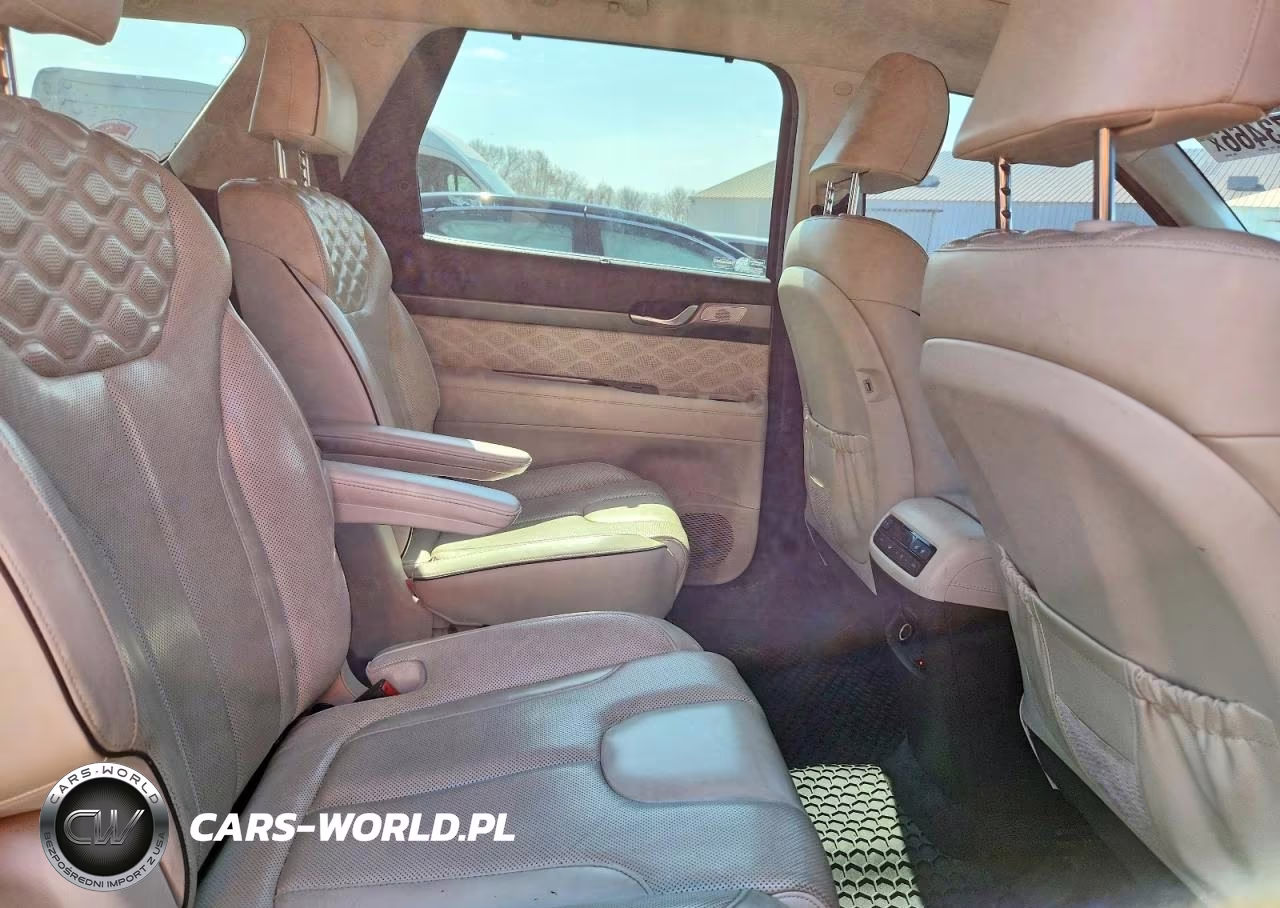 2020 Hyundai Palisade Limited VIN:KM8R5DHE5LU124290 - 11