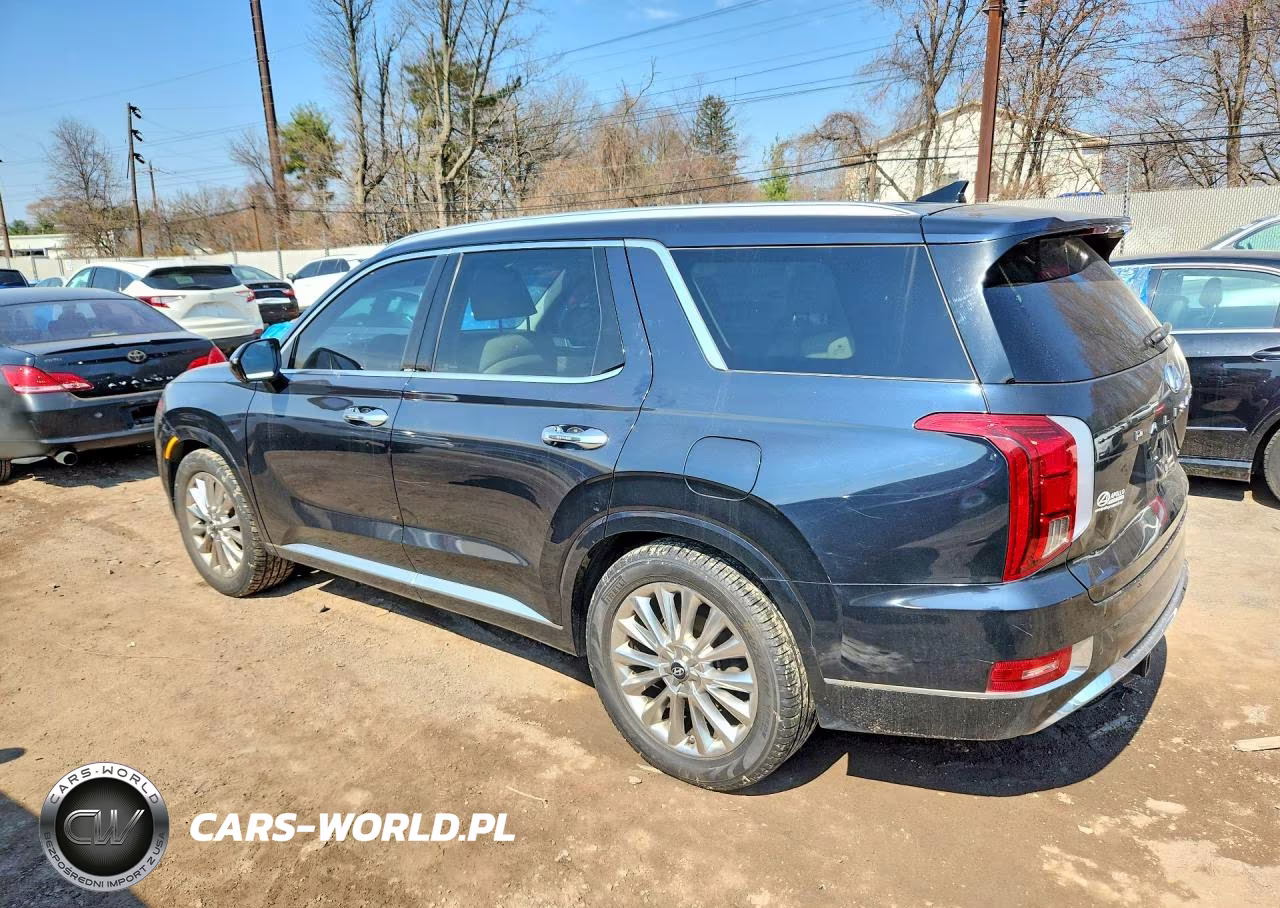 2020 Hyundai Palisade Limited VIN:KM8R5DHE5LU124290 - 2