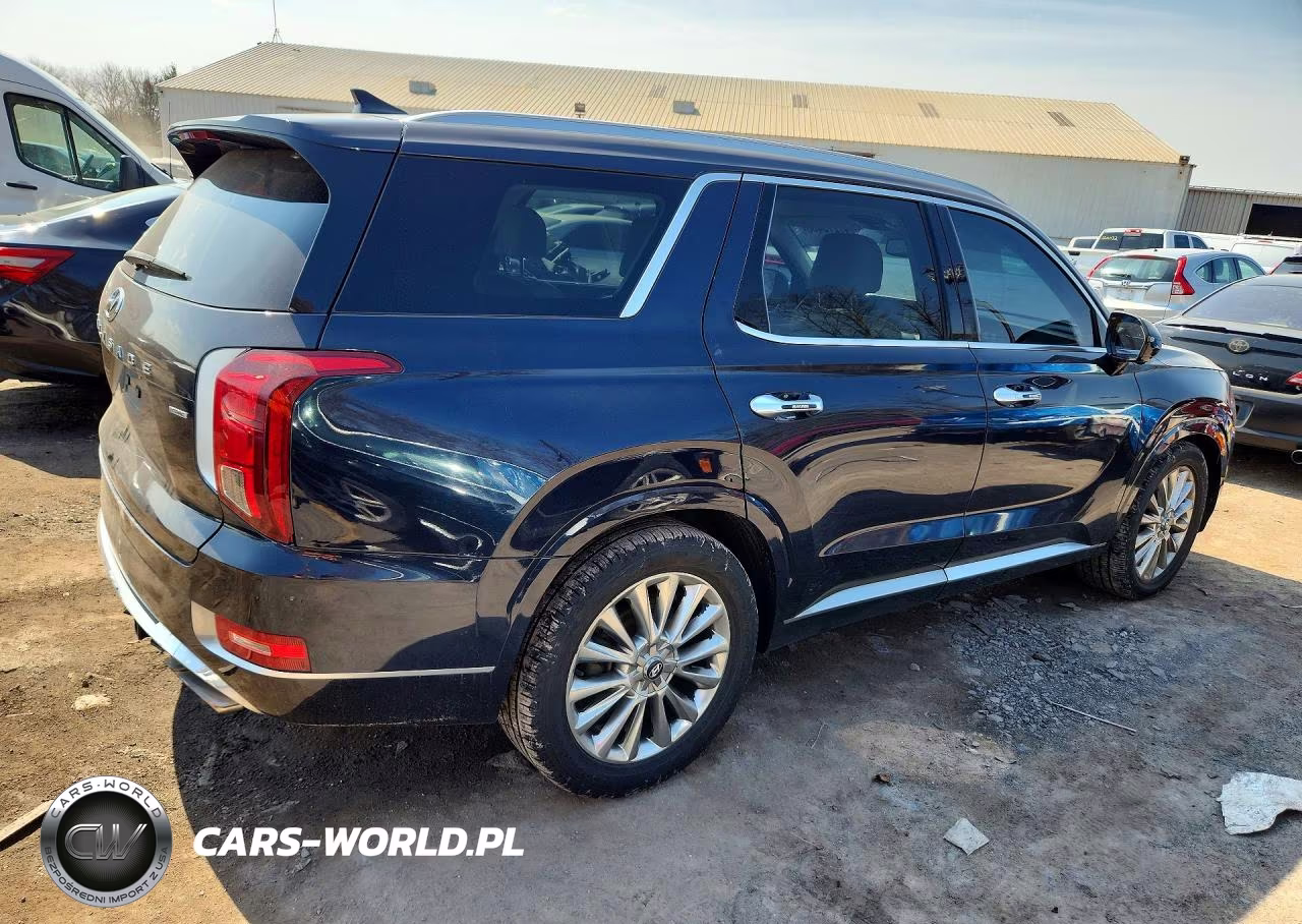 2020 Hyundai Palisade Limited VIN:KM8R5DHE5LU124290 - 3