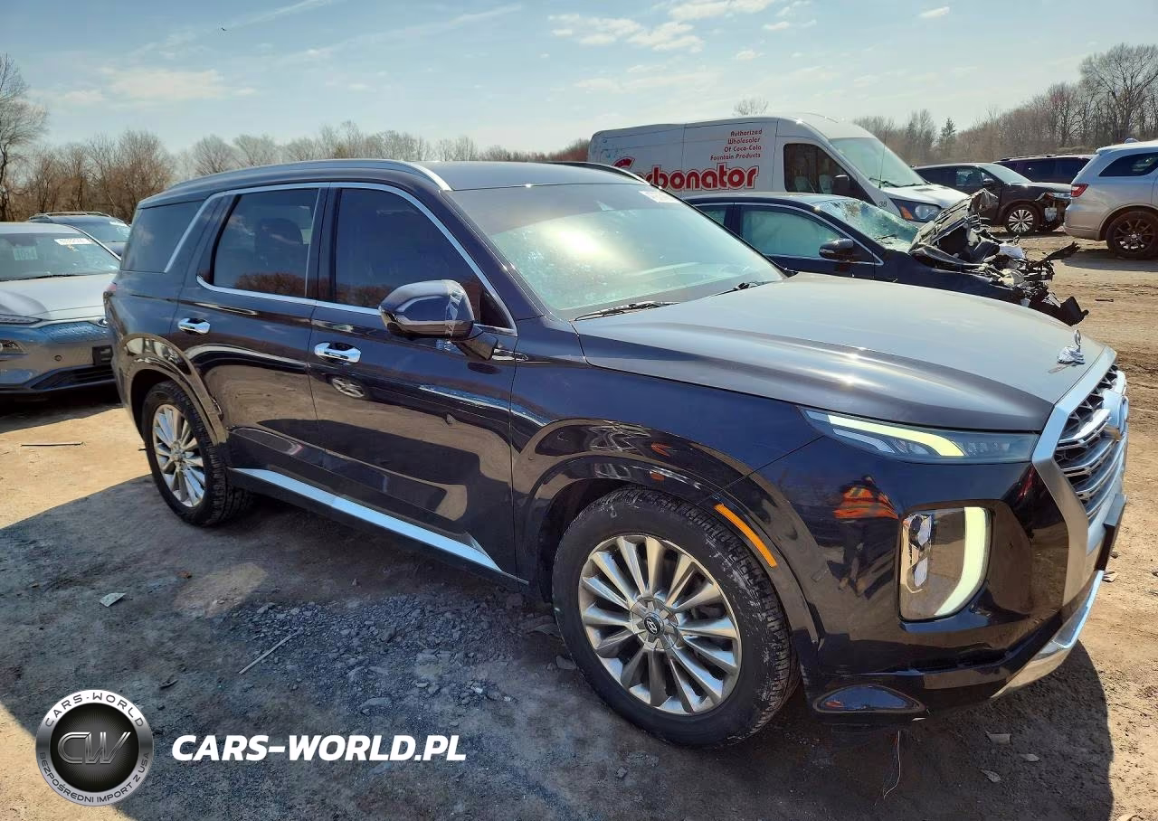 2020 Hyundai Palisade Limited VIN:KM8R5DHE5LU124290 - 4