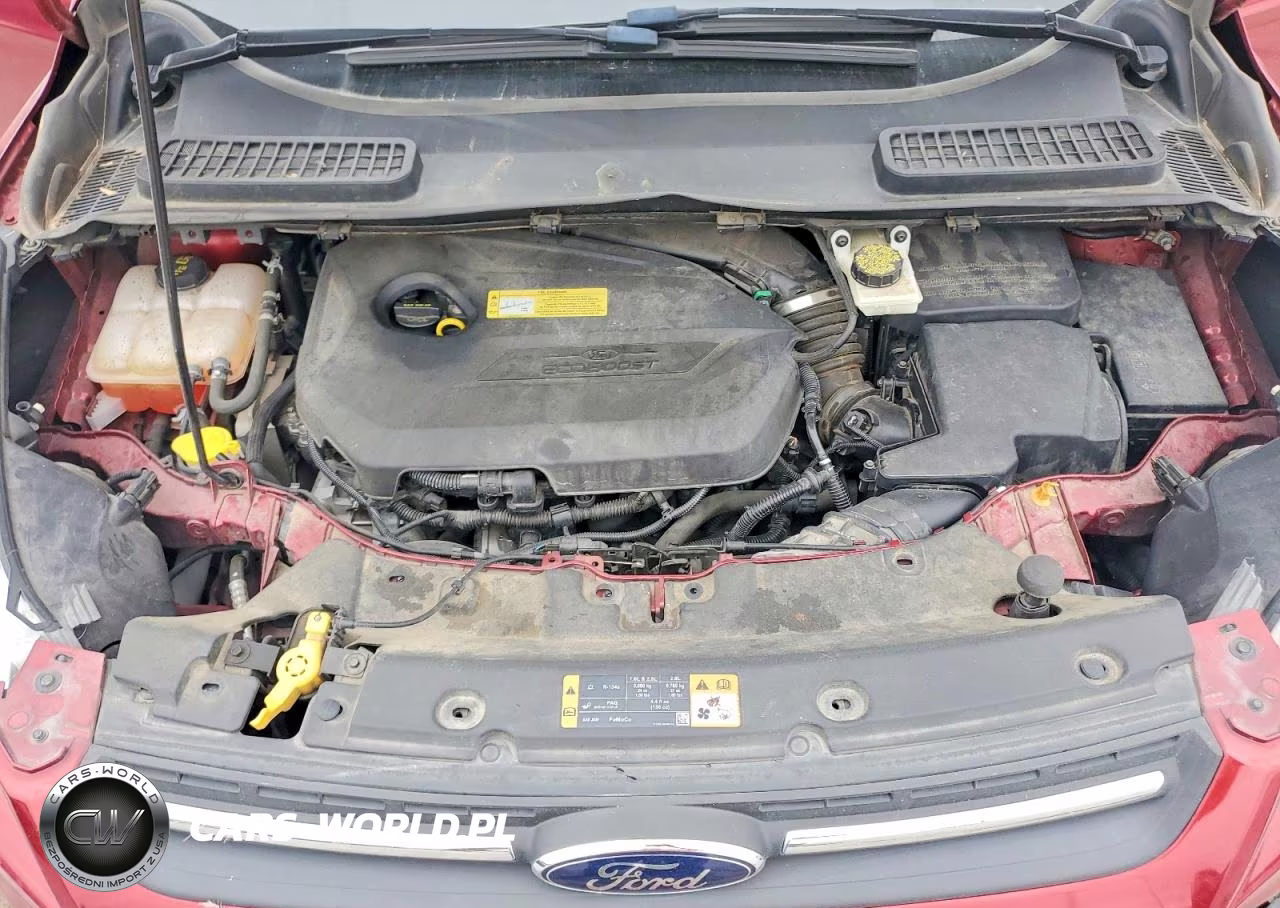 2014 Ford Escape Se VIN:1FMCU0GX6EUA89623 - 12