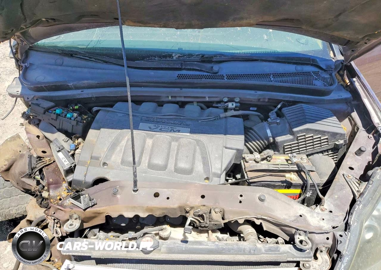 2009 Honda Odyssey Exl VIN:5FNRL38709B021608 - 12