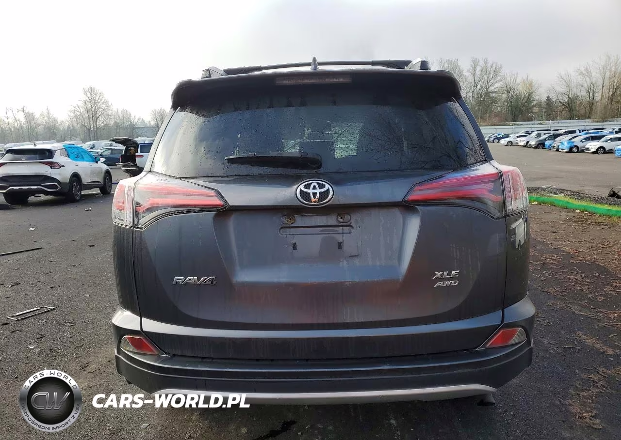 2016 Toyota Rav4 Xle VIN:JTMRFREV2GD180518 - 6