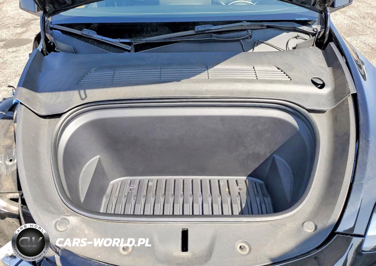 2023 Tesla Model Y VIN:7SAYGDEEXPA087900 - 11