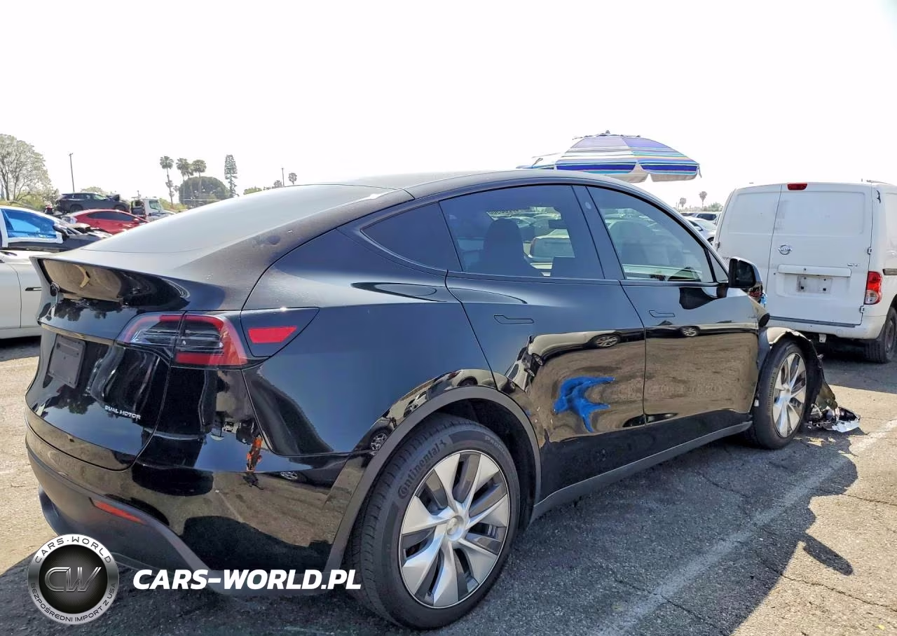 2023 Tesla Model Y VIN:7SAYGDEEXPA087900 - 3
