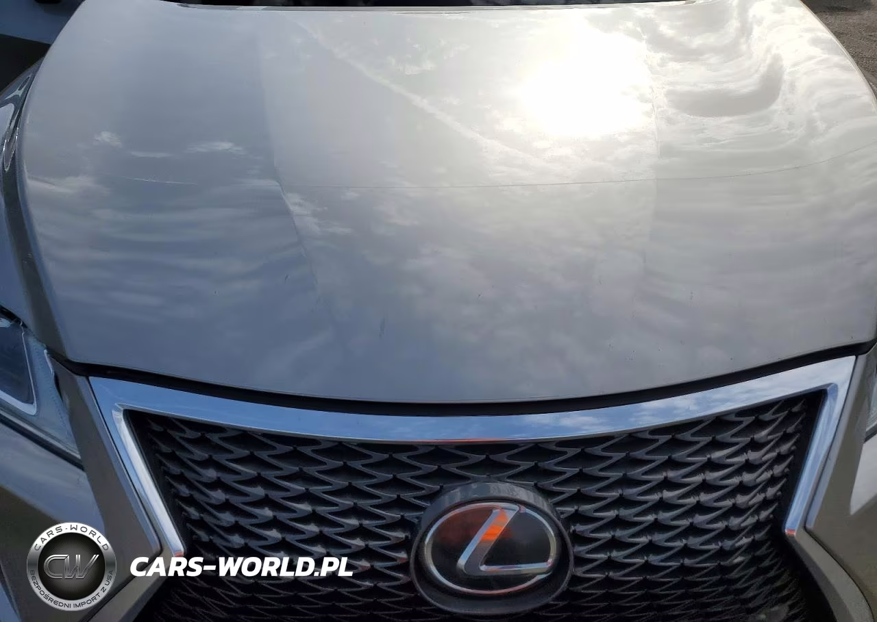 2017 Lexus Rx 350 F Sport VIN:2T2BZMCA7HC094661 - 12