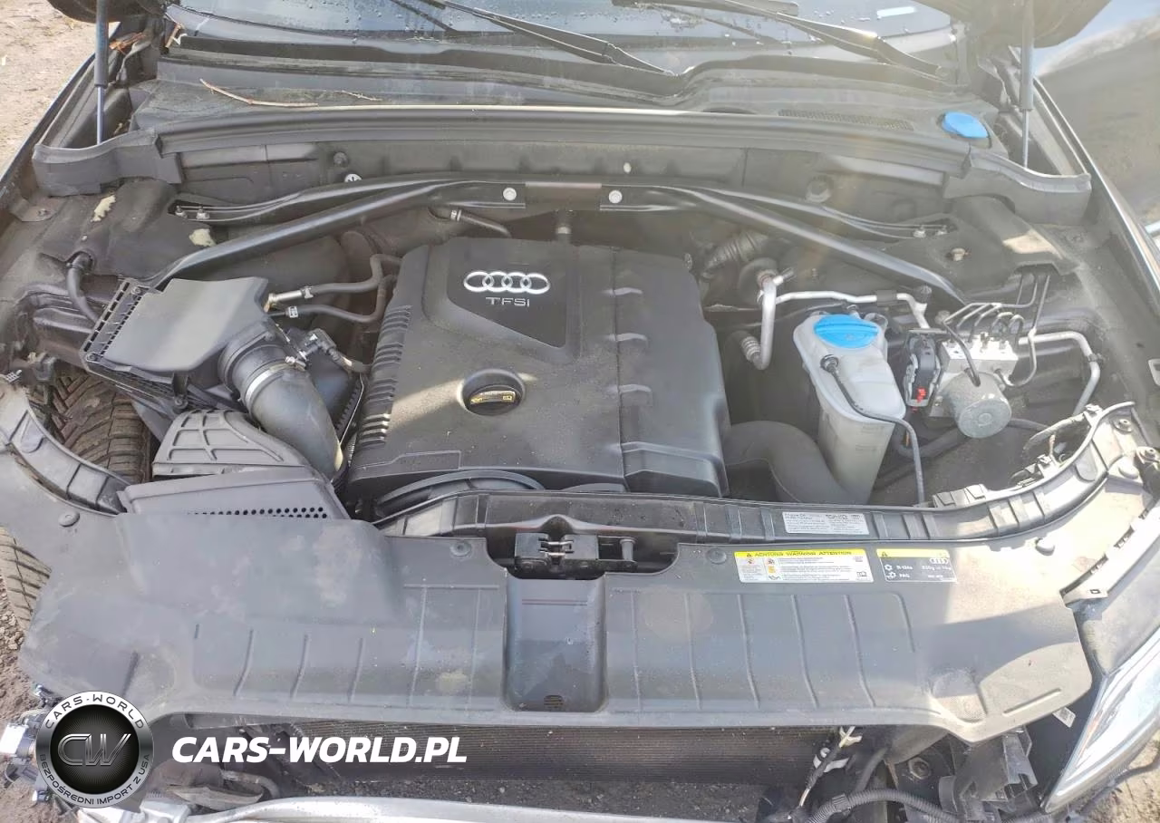 2014 Audi Q5 Premium Plus VIN:WA1LFAFP9EA035248 - 11
