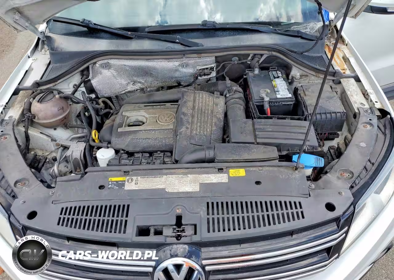 2014 Volkswagen Tiguan S VIN:WVGAV3AX0EW600150 - 12
