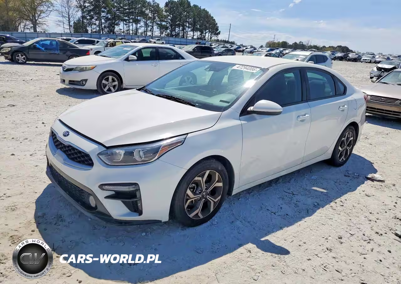 2019 Kia Forte Lxs