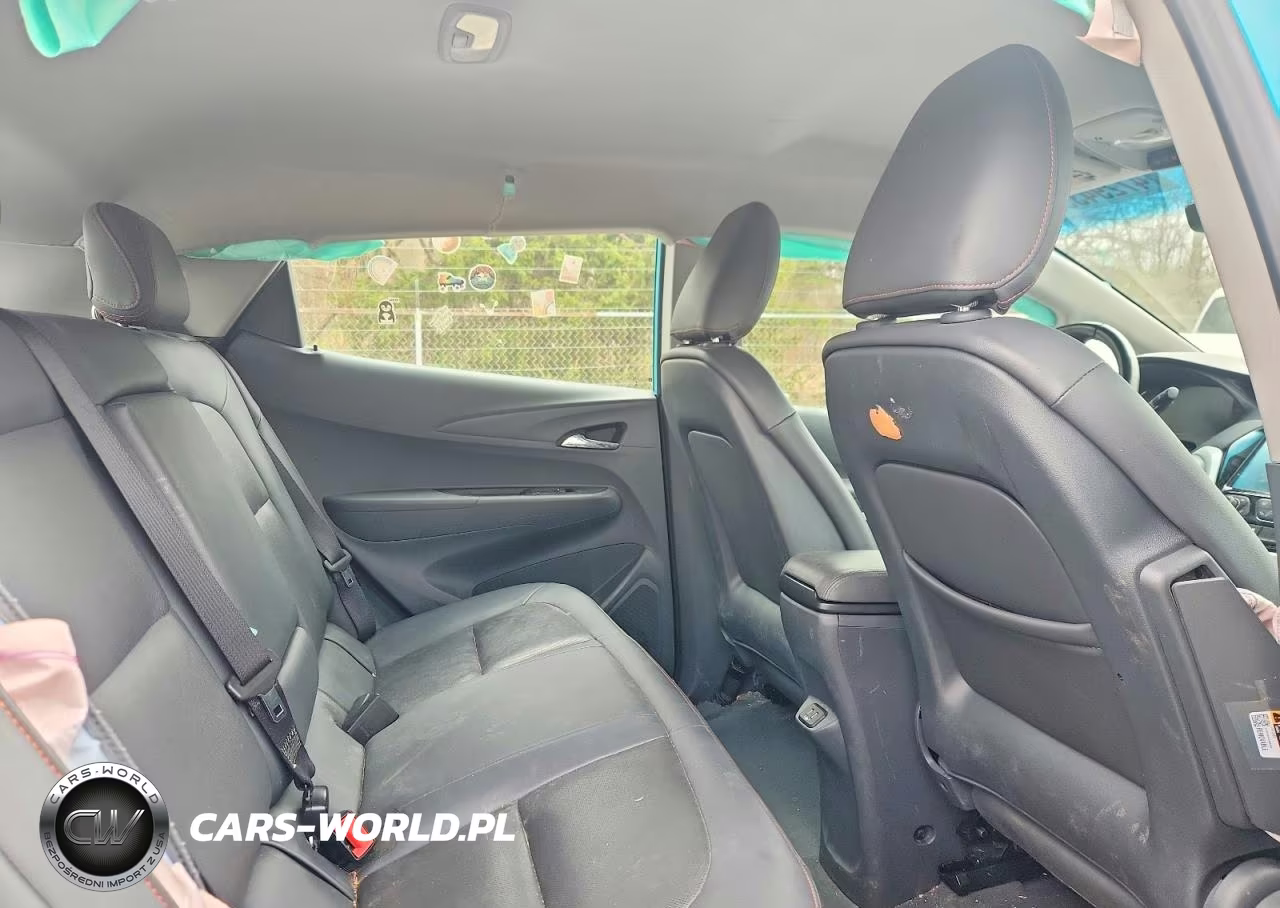 2020 Chevrolet Bolt Ev Premier VIN:1G1FZ6S04L4113052 - 10