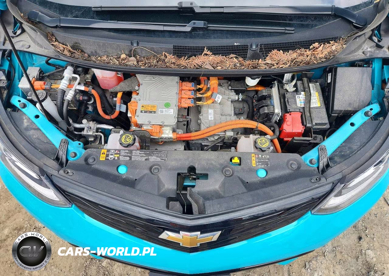 2020 Chevrolet Bolt Ev Premier VIN:1G1FZ6S04L4113052 - 11