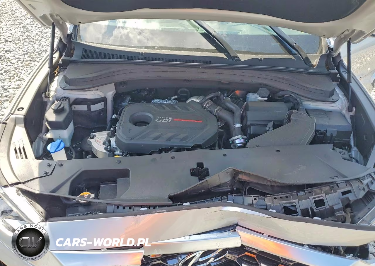 2020 Hyundai Santa Fe Sel 2.0T VIN:5NMS33AA8LH276195 - 11