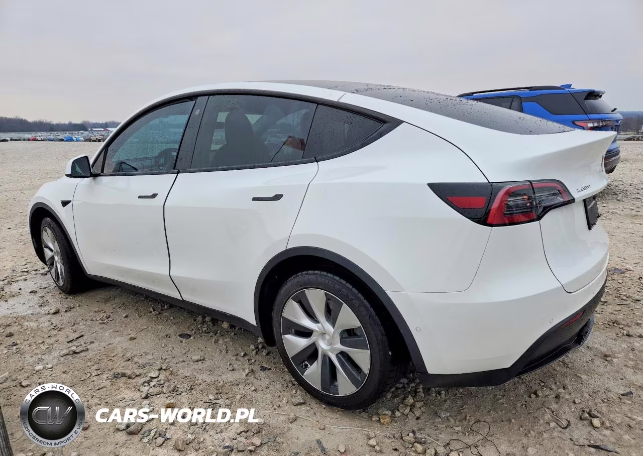 2022 Tesla Model Y VIN:7SAYGDEEXNF354534 - 2