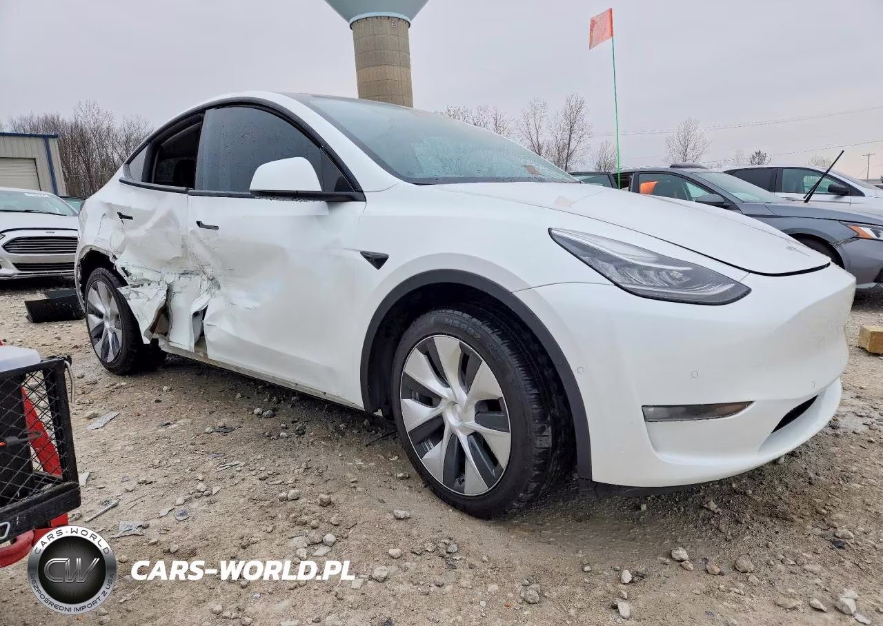 2022 Tesla Model Y VIN:7SAYGDEEXNF354534 - 4