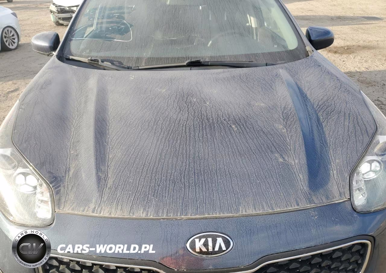 2019 Kia Sportage Lx VIN:KNDPM3AC8K7616617 - 11