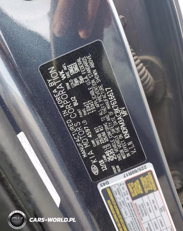 2019 Kia Sportage Lx VIN:KNDPM3AC8K7616617 - 12