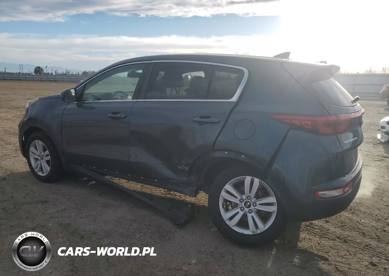 2019 Kia Sportage Lx VIN:KNDPM3AC8K7616617 - 2