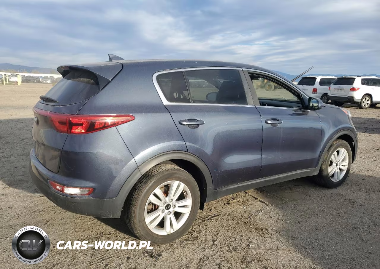 2019 Kia Sportage Lx VIN:KNDPM3AC8K7616617 - 3
