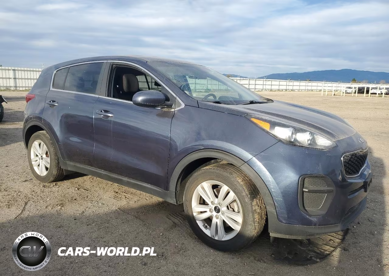 2019 Kia Sportage Lx VIN:KNDPM3AC8K7616617 - 4