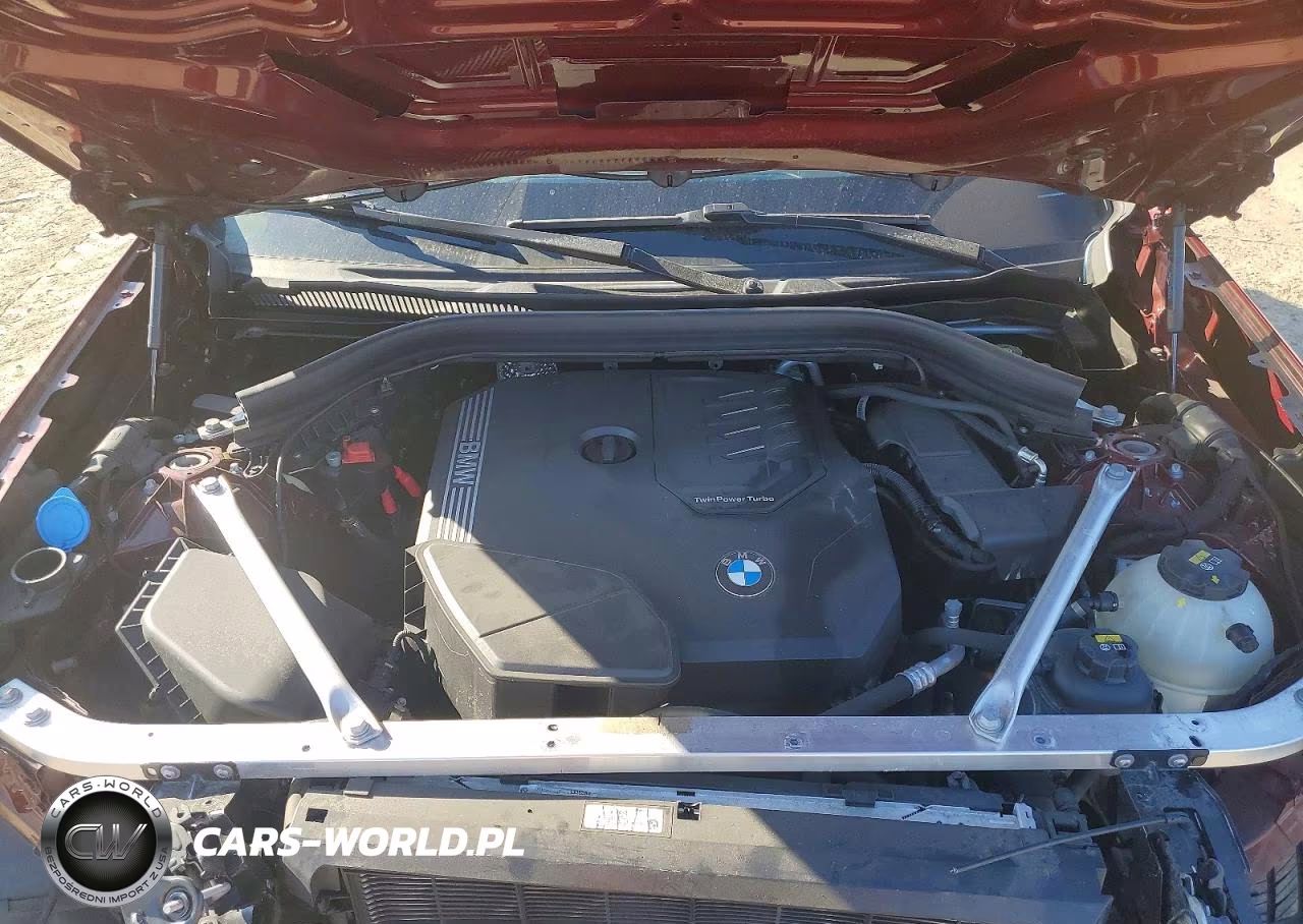 2022 BMW X3 xDrive30I VIN:5UX53DP05N9K85936 - 12