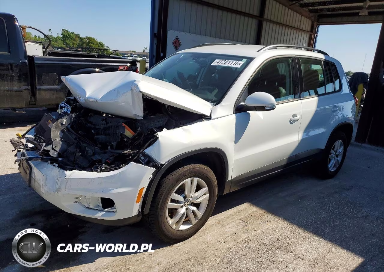 2017 Volkswagen Tiguan S VIN:WVGBV7AX9HW512813 - 1