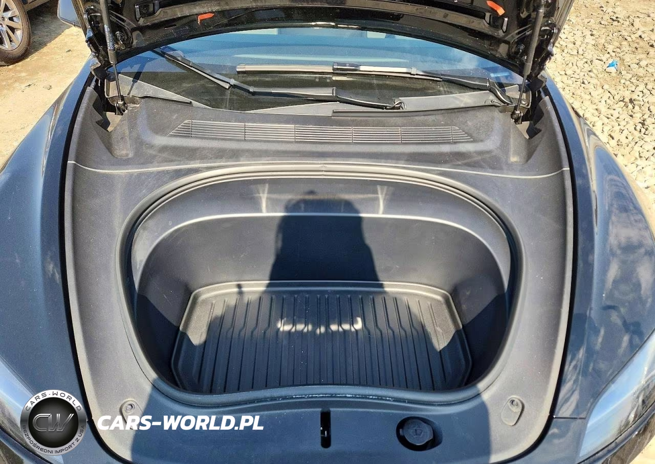 2025 Tesla Model 3 VIN:5YJ3E1EA5SF924511 - 11