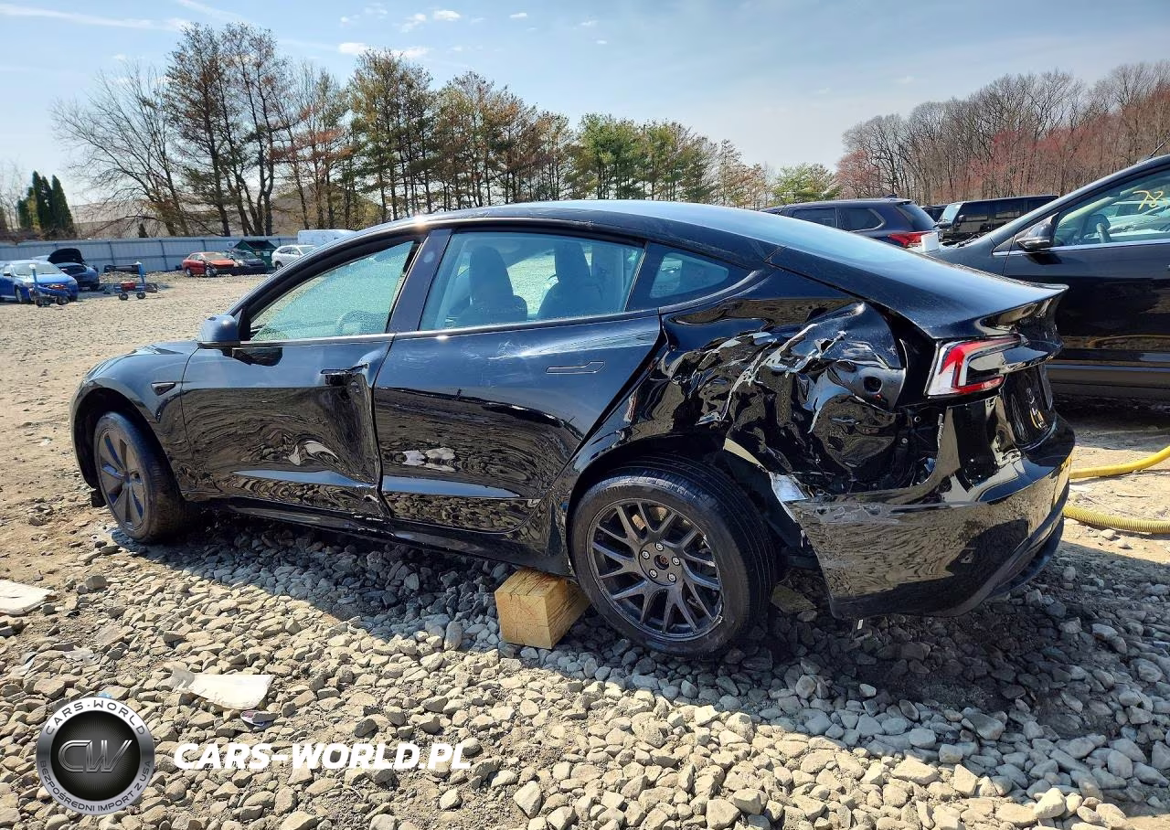 2025 Tesla Model 3 VIN:5YJ3E1EA5SF924511 - 2