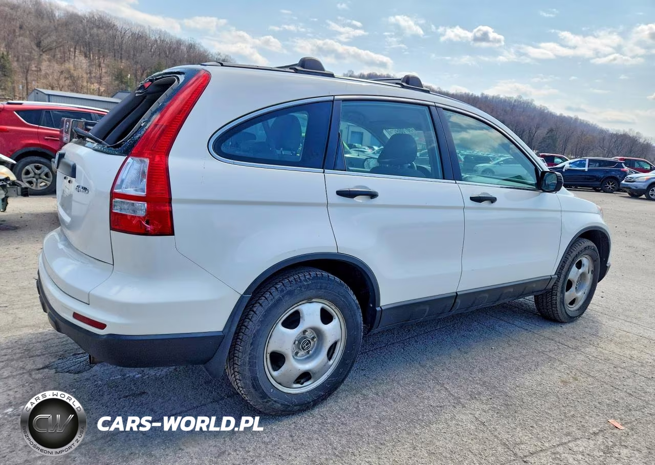 2010 Honda Cr-V Lx VIN:5J6RE4H39AL099958 - 3