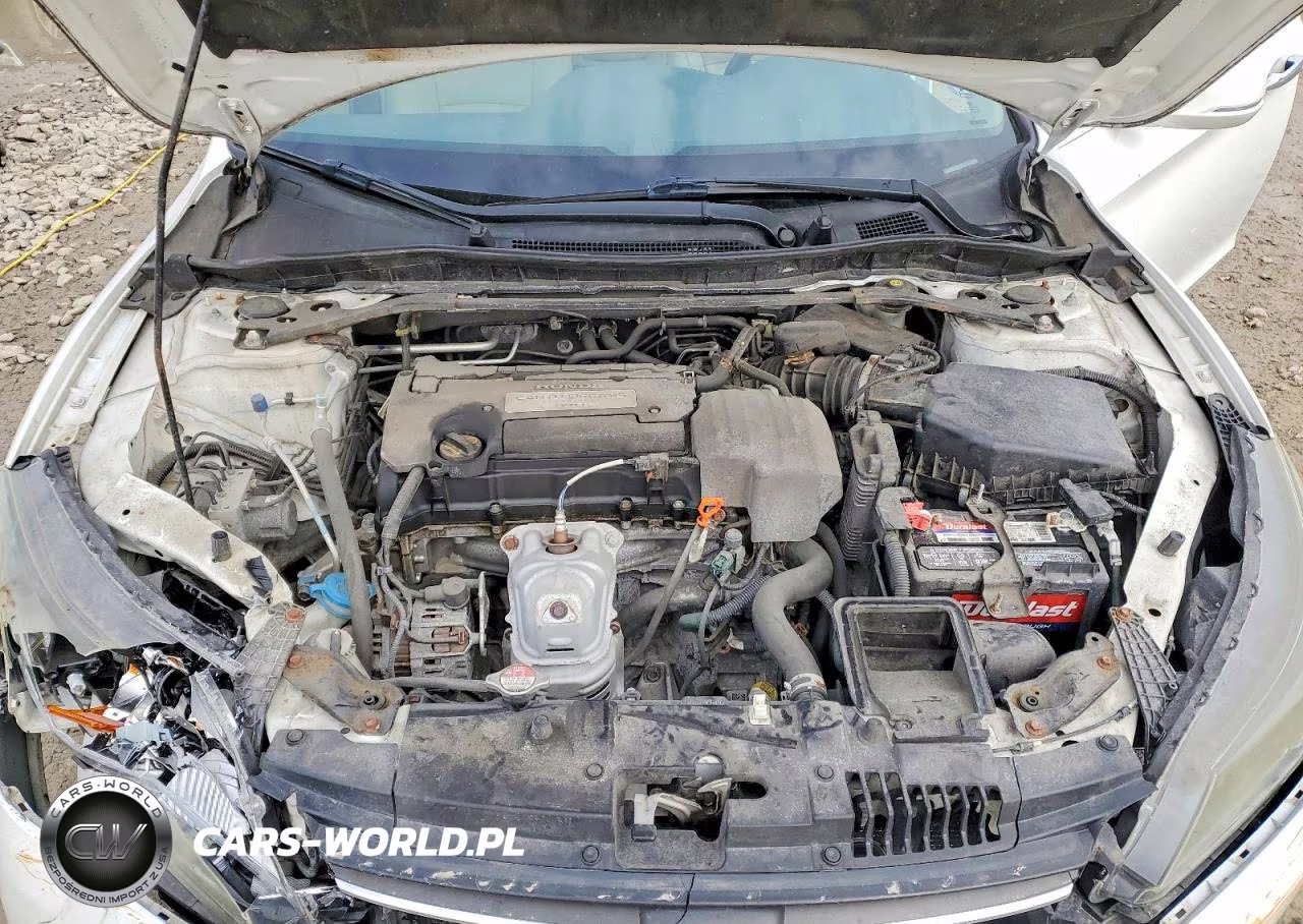 2013 Honda Accord Exl VIN:1HGCR2F89DA165817 - 11