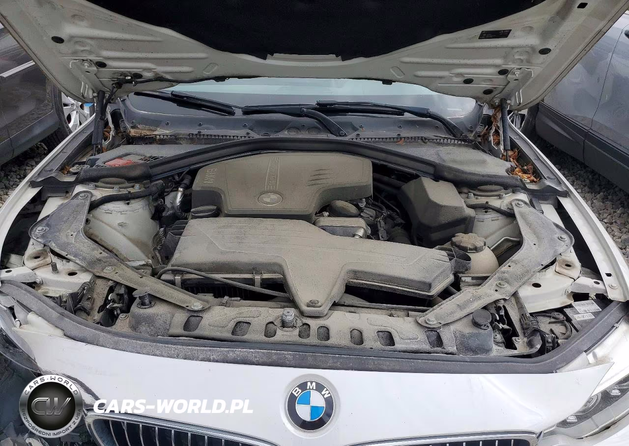 2015 BMW 428 I VIN:WBA3V5C59F5A79215 - 11