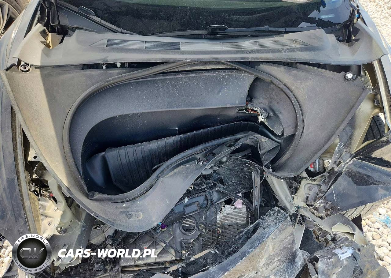 2025 Tesla Model 3 VIN:5YJ3E1EA0SF981117 - 11
