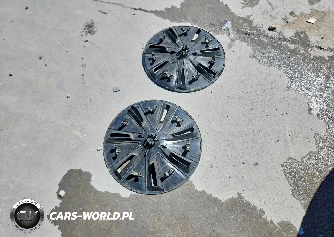 2025 Tesla Model 3 VIN:5YJ3E1EA0SF981117 - 12