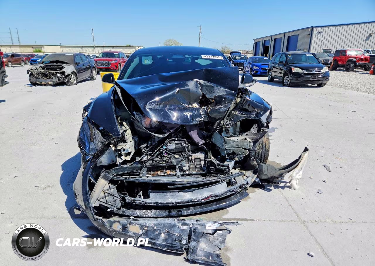 2025 Tesla Model 3 VIN:5YJ3E1EA0SF981117 - 5