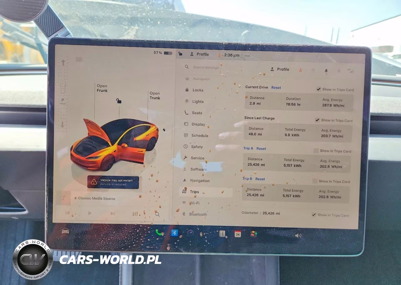 2025 Tesla Model 3 VIN:5YJ3E1EA0SF981117 - 9