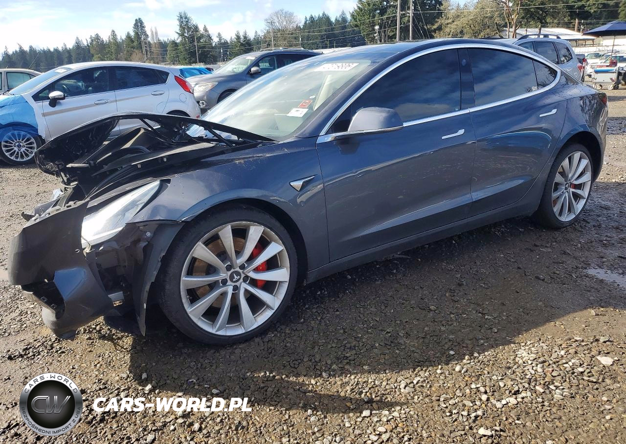 2019 Tesla Model 3