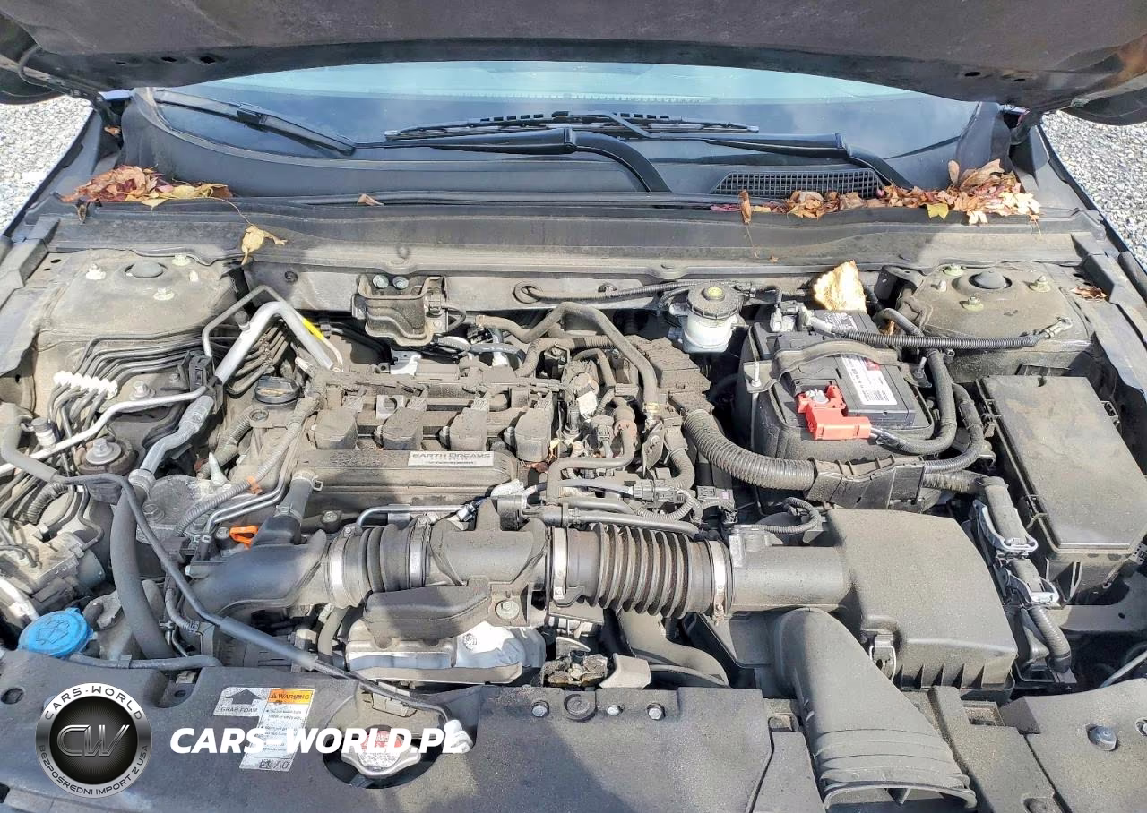 2019 Honda Accord Lx VIN:1HGCV1F19KA175303 - 11