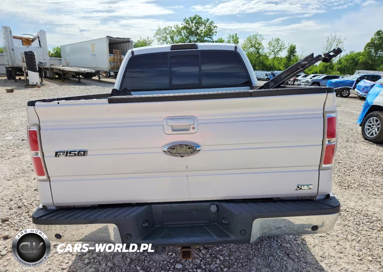 2010 Ford F150 Supercrew VIN:1FTFW1CVXAFD77486 - 6
