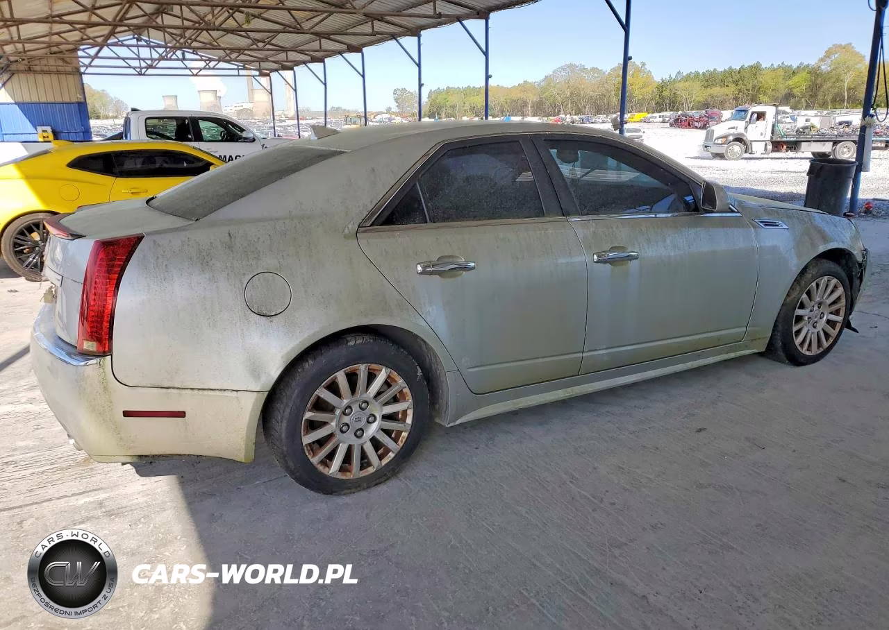 2010 Cadillac Cts Luxury Collection VIN:1G6DE5EG3A0146595 - 3