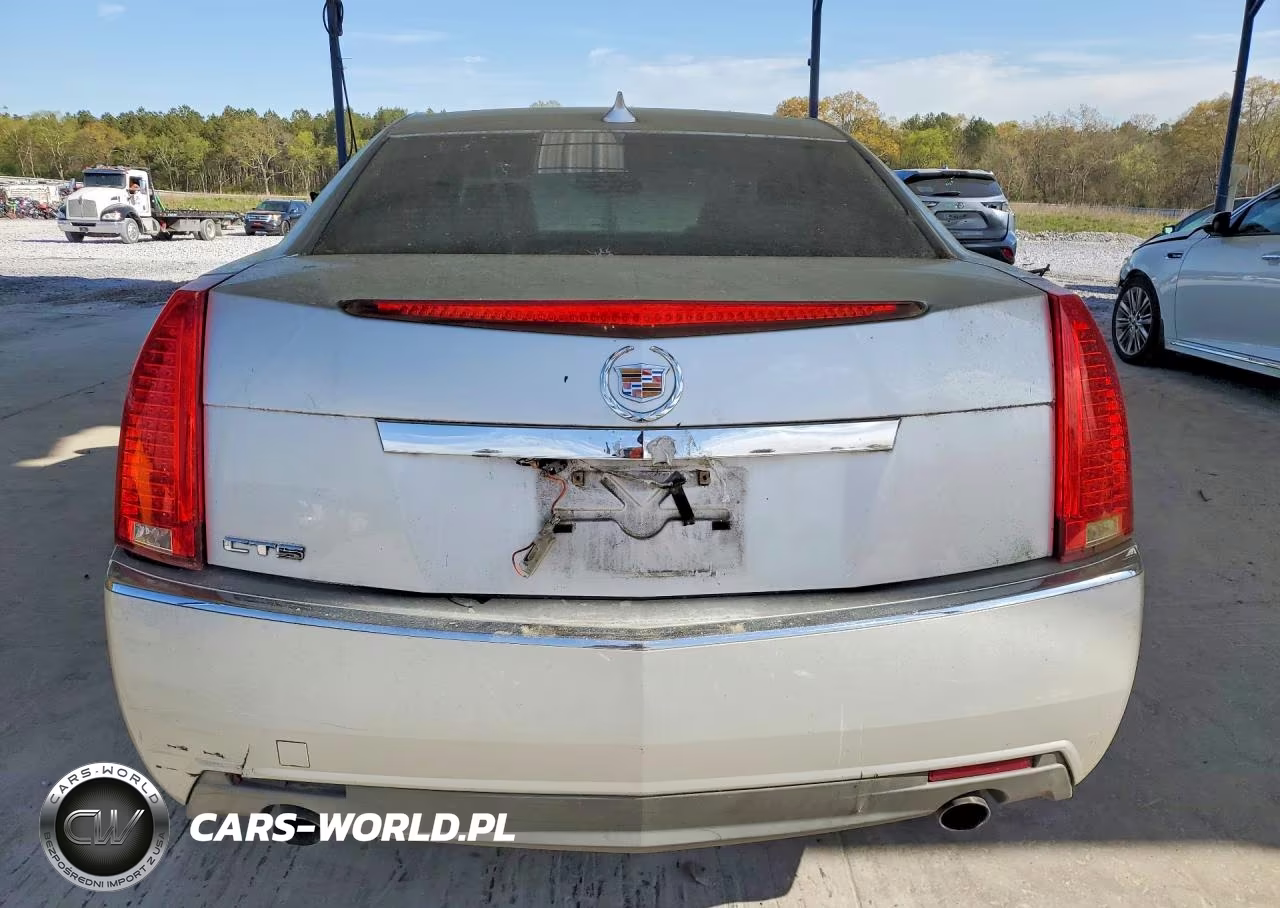 2010 Cadillac Cts Luxury Collection VIN:1G6DE5EG3A0146595 - 6