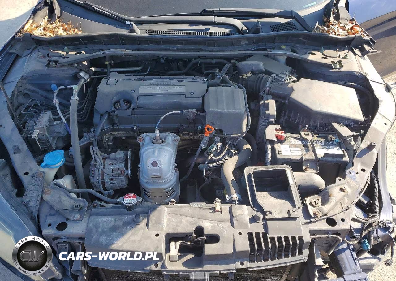 2014 Honda Accord Exl VIN:1HGCR2F82EA245803 - 11