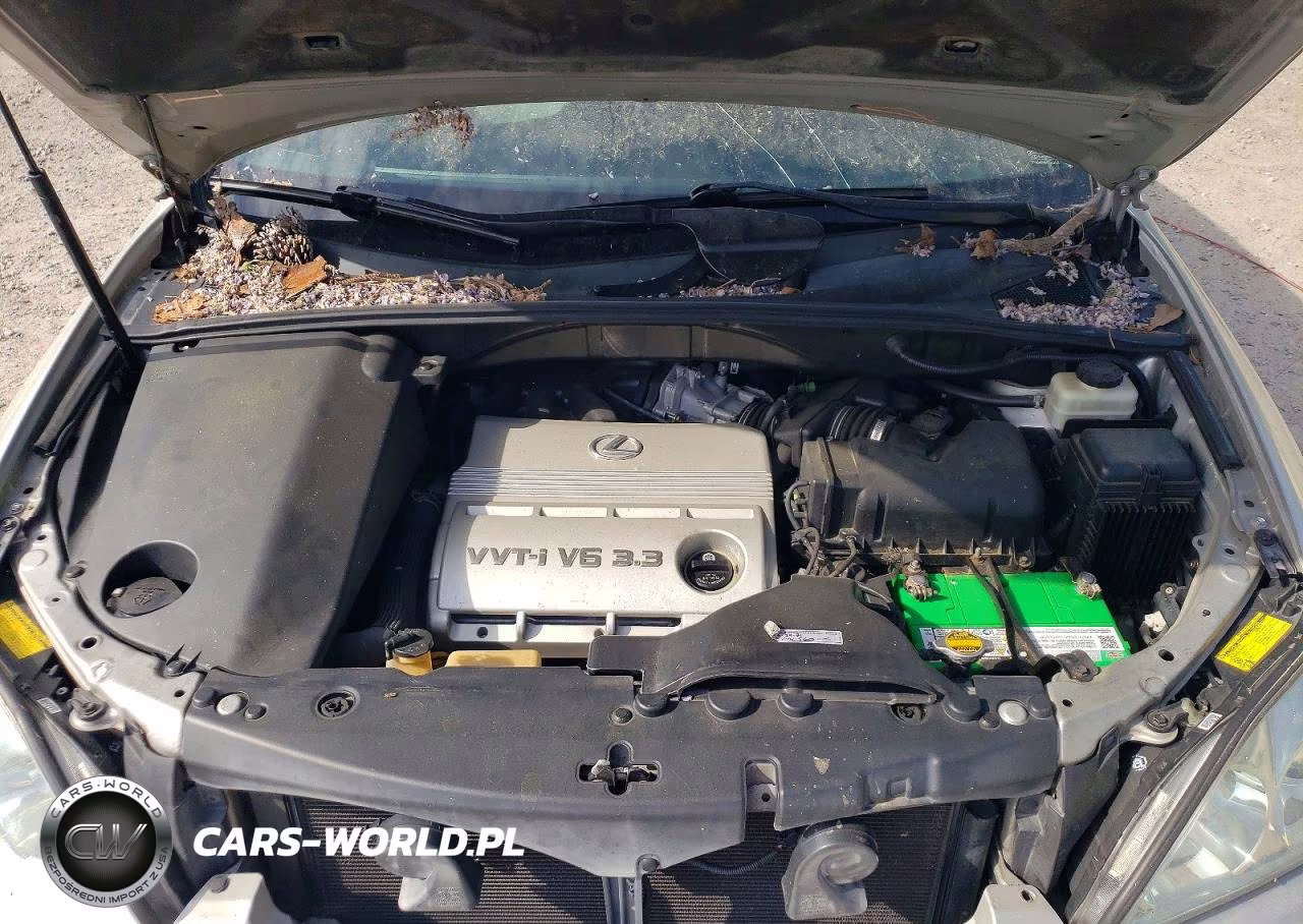 2005 Lexus Rx 330 Base VIN:2T2GA31U15C040806 - 12