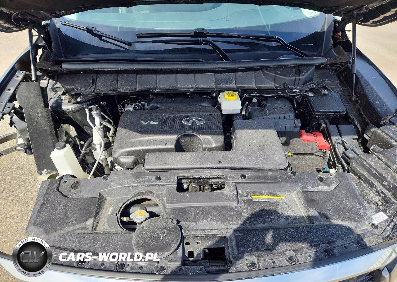 2023 Infiniti Qx60 Pure VIN:5N1DL1ESXPC330175 - 12
