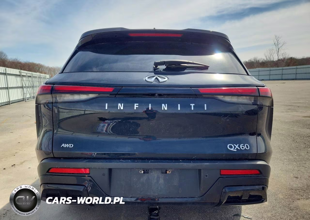 2023 Infiniti Qx60 Pure VIN:5N1DL1ESXPC330175 - 6