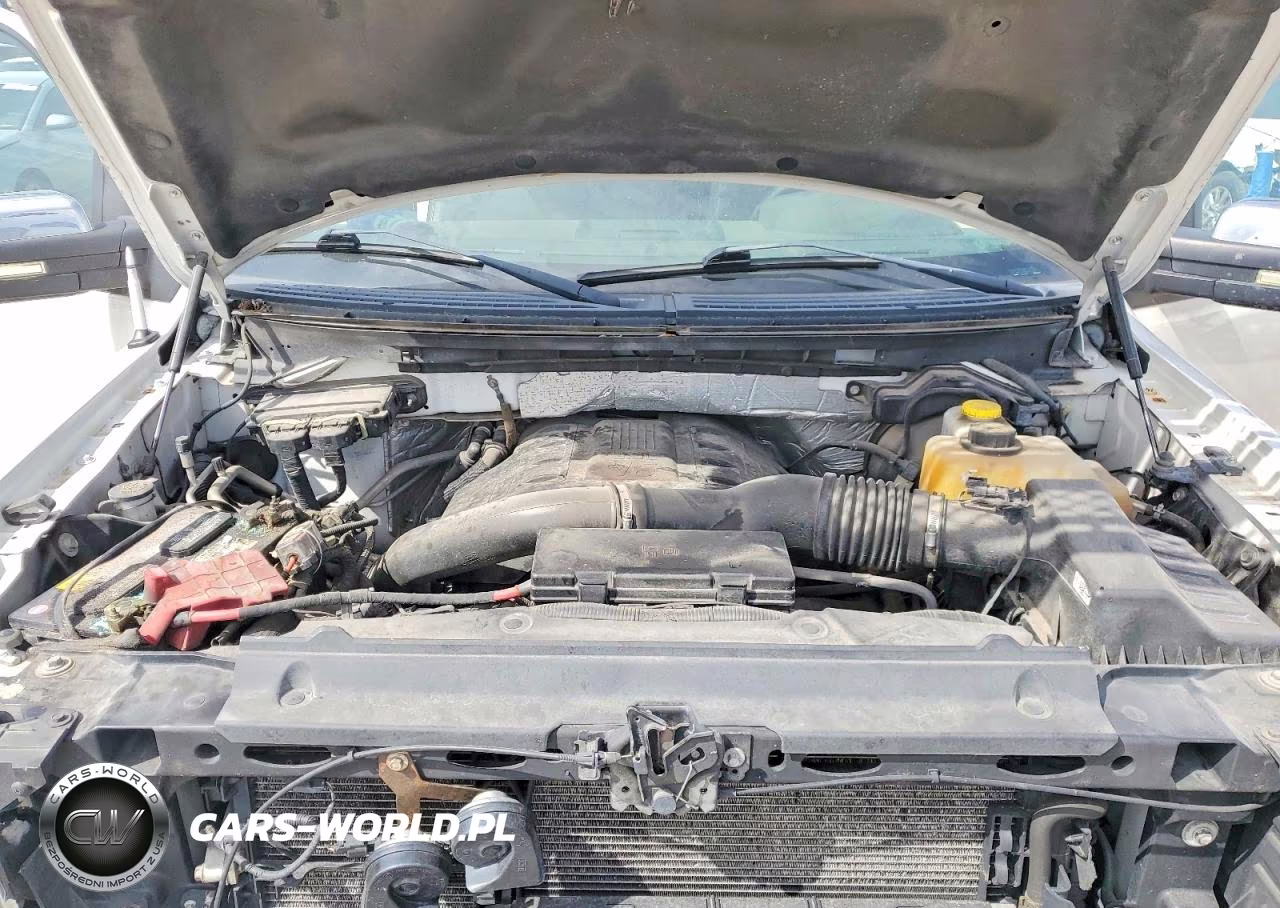 2014 Ford F150 Supercrew VIN:1FTFW1ET0EFB01237 - 11