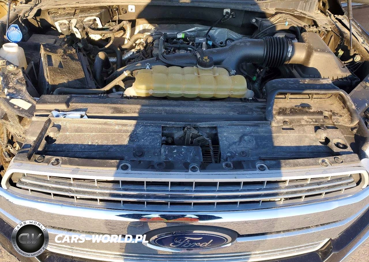 2020 Ford F150 Supercrew VIN:1FTEW1EP7LKD62190 - 11