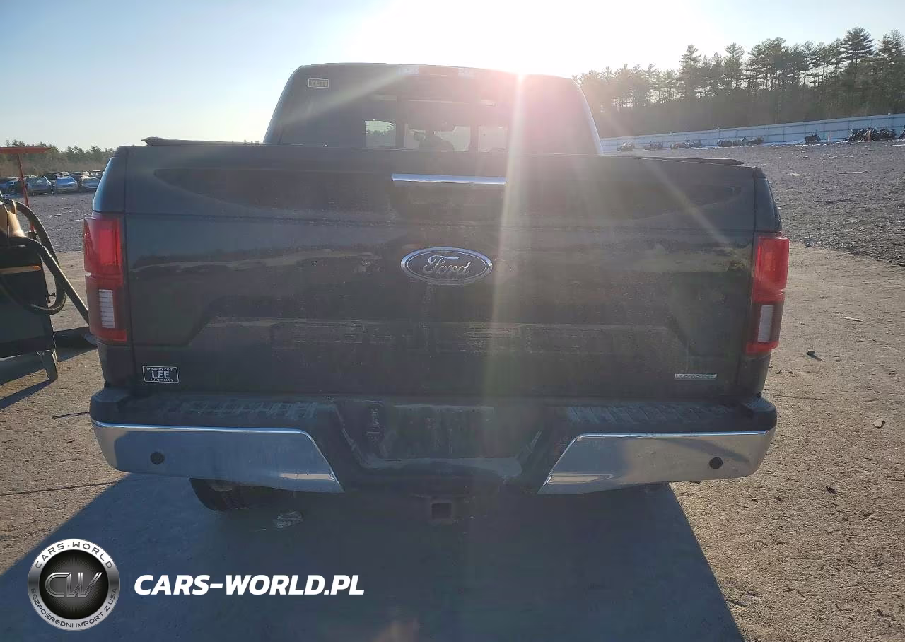 2020 Ford F150 Supercrew VIN:1FTEW1EP7LKD62190 - 6